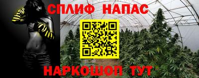 прущие крисы Лесосибирск